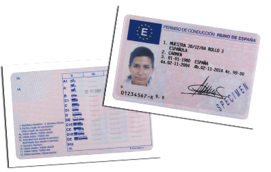 Ejemplo de carné de conducir